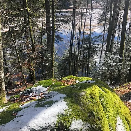 Magnifique Classe 4 Etoiles Avec Sauna Et Terrasse Dans Apartmán La Bresse
