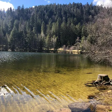 Magnifique Classe 4 Etoiles Avec Sauna Et Terrasse Dans דירה לה ברסה