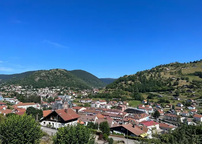 Magnifique Classe 4 Etoiles Avec Sauna Et Terrasse Dans Apartmán La Bresse