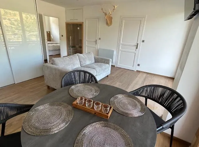 Apartmán Magnifique Classe 4 Etoiles Avec Sauna Et Terrasse Dans