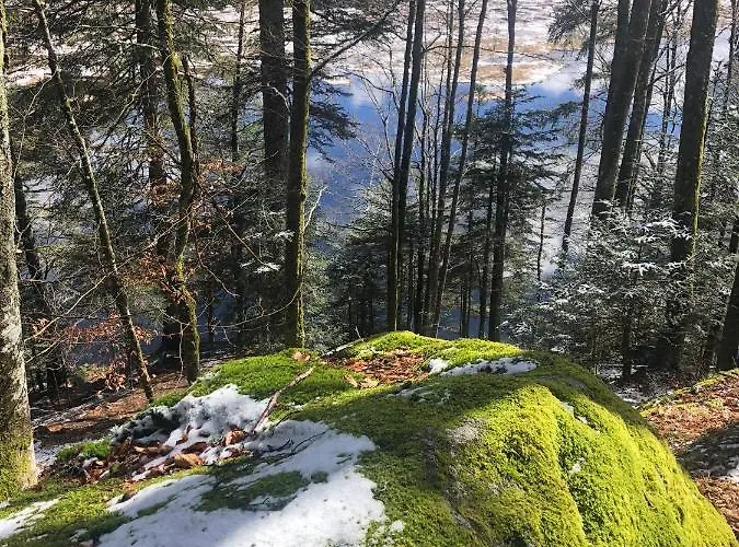 Magnifique Classe 4 Etoiles Avec Sauna Et Terrasse Dans Apartmán La Bresse