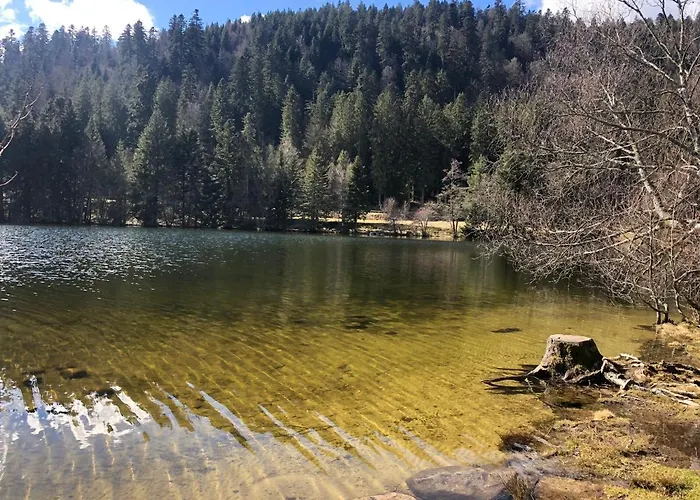 Magnifique Classe 4 Etoiles Avec Sauna Et Terrasse Dans Apartmán La Bresse