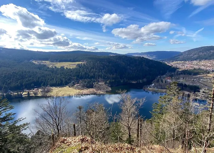 Magnifique Classe 4 Etoiles Avec Sauna Et Terrasse Dans * La Bresse